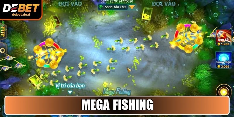 Mega Fishing